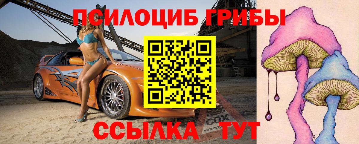 Галлюциногенные грибы MAGIC MUSHROOMS  Вход с VPN  Саров 